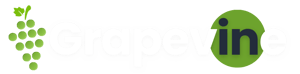 Product Marketing Templates for Grapevine (4)